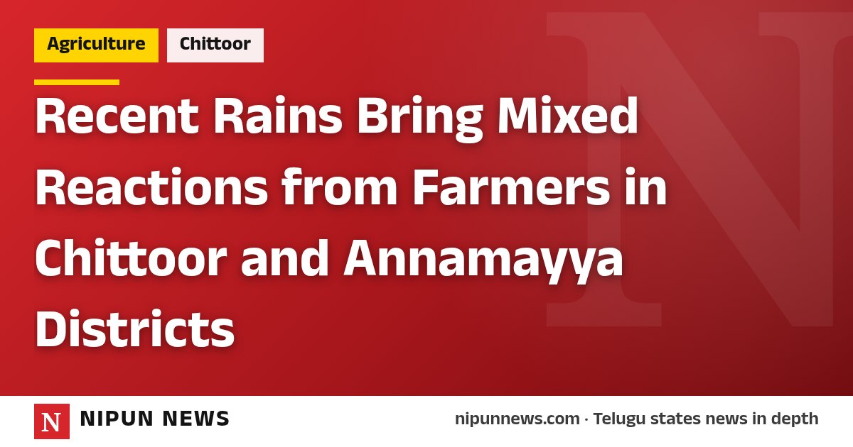 Recent Rains Bring Mixed Reactions from Farmers in Chittoor and Annamayya Districts