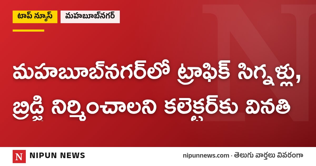 మహబూబ్‌నగర్‌లో ట్రాఫిక్ సిగ్నళ్లు, బ్రిడ్జి నిర్మించాలని కలెక్టర్‌కు వినతి