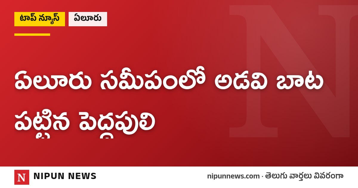 ఏలూరు సమీపంలో అడవి బాట పట్టిన పెద్దపులి