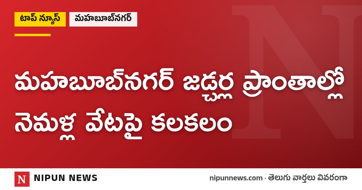 మహబూబ్‌నగర్ జడ్చర్ల ప్రాంతాల్లో నెమళ్ల వేటపై కలకలం