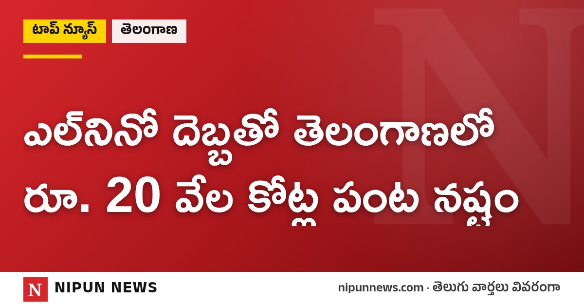 ఎల్నినో దెబ్బతో తెలంగాణలో రూ. 20 వేల కోట్ల పంట నష్టం
