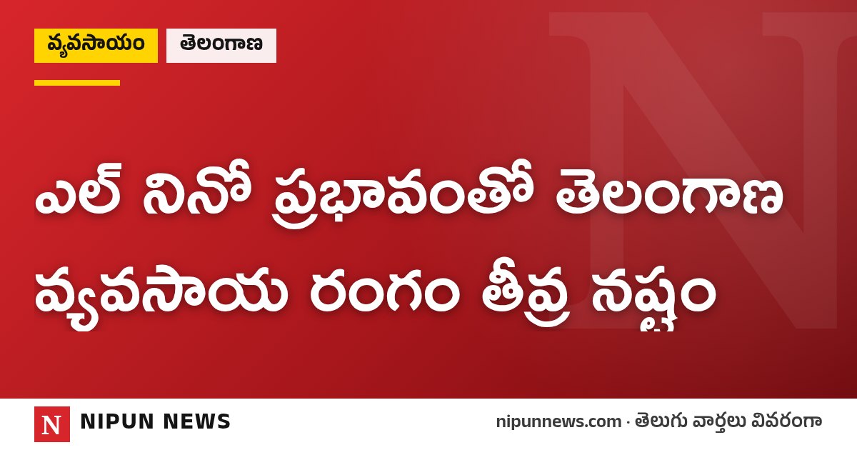 ఎల్ నినో ప్రభావంతో తెలంగాణ వ్యవసాయ రంగం తీవ్ర నష్టం