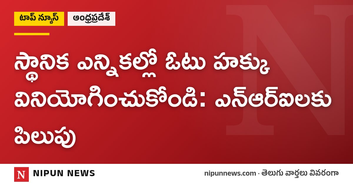 స్థానిక ఎన్నికల్లో ఓటు హక్కు వినియోగించుకోండి: ఎన్ఆర్ఐలకు పిలుపు