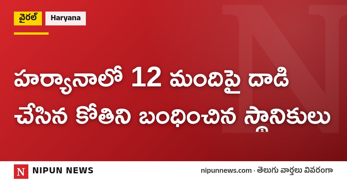 హర్యానాలో 12 మందిపై దాడి చేసిన కోతిని బంధించిన స్థానికులు