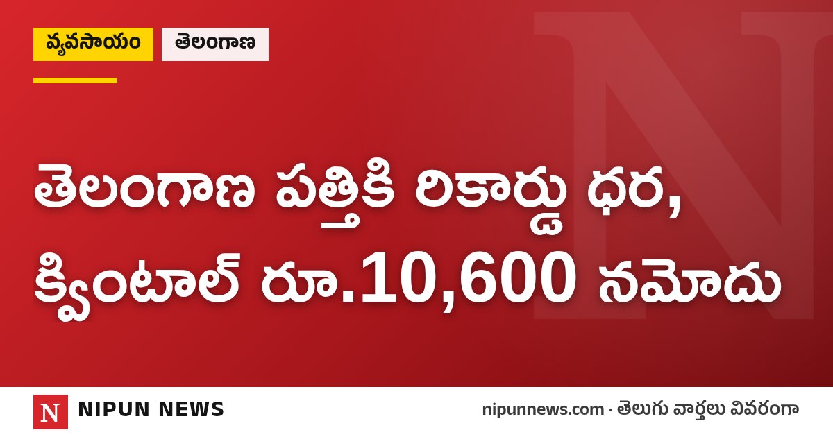 తెలంగాణ పత్తికి రికార్డు ధర, క్వింటాల్ రూ.10,600 నమోదు