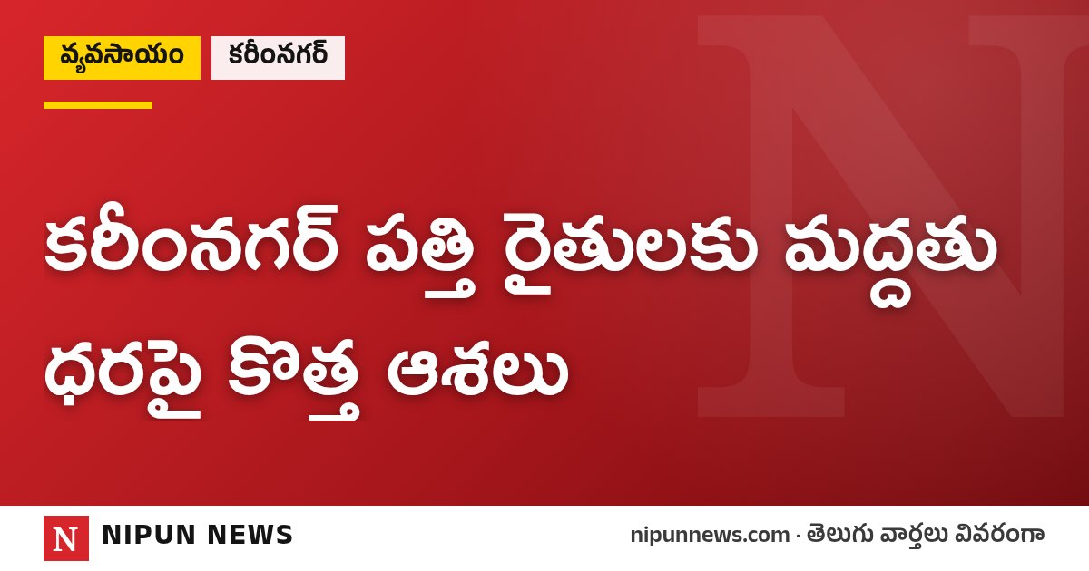 కరీంనగర్ పత్తి రైతులకు మద్దతు ధరపై కొత్త ఆశలు