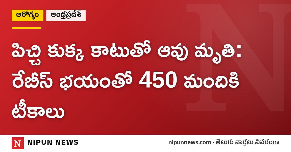 పిచ్చి కుక్క కాటుతో ఆవు మృతి: రేబీస్ భయంతో 450 మందికి టీకాలు