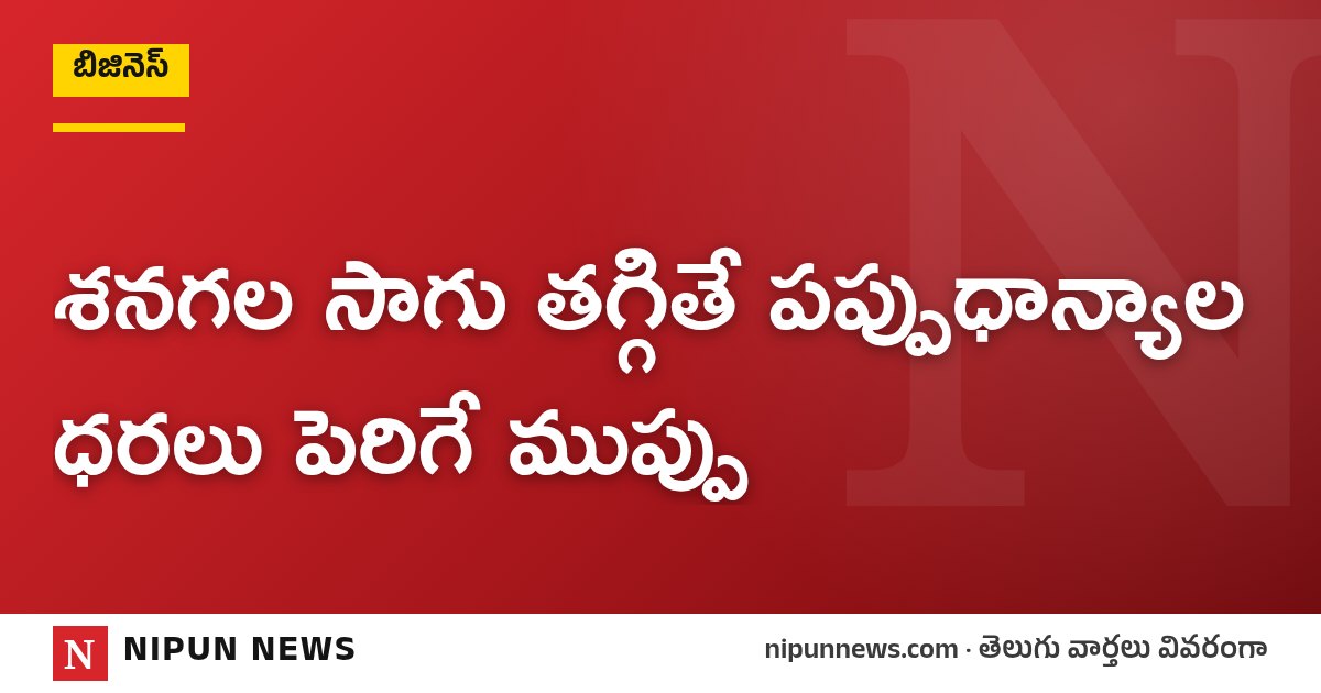శనగల సాగు తగ్గితే పప్పుధాన్యాల ధరలు పెరిగే ముప్పు